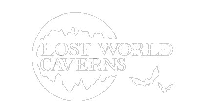 Lost World Caverns Bat Logo White