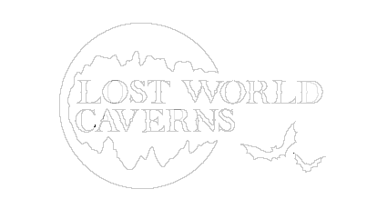 Lost World Caverns Bat Logo White