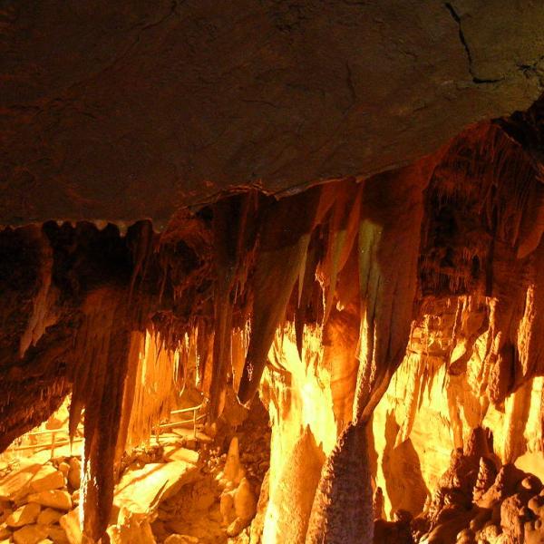 Wild cave tours image